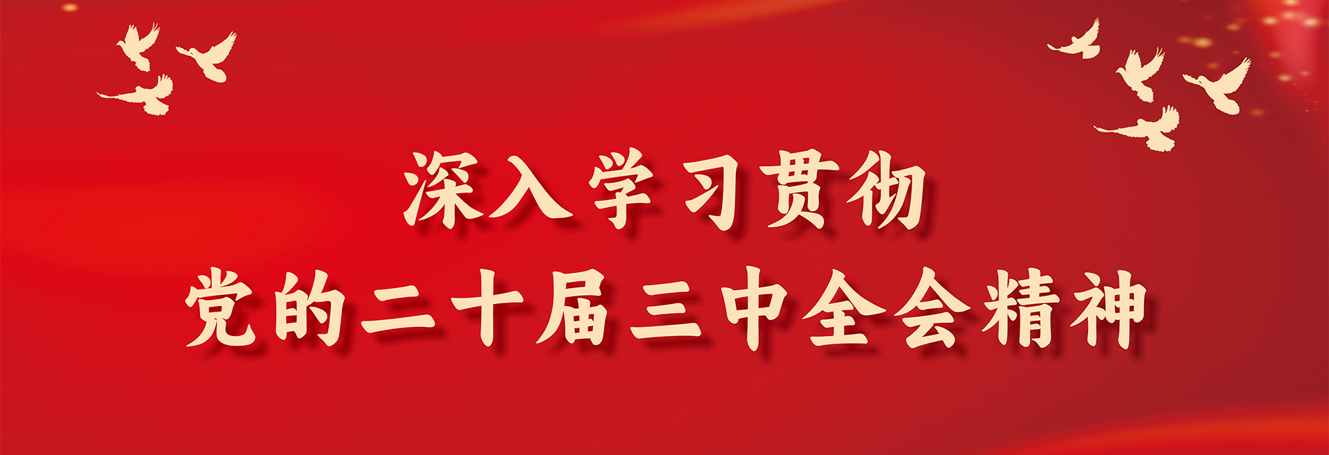 學習貫徹黨的二十屆三中全會精神